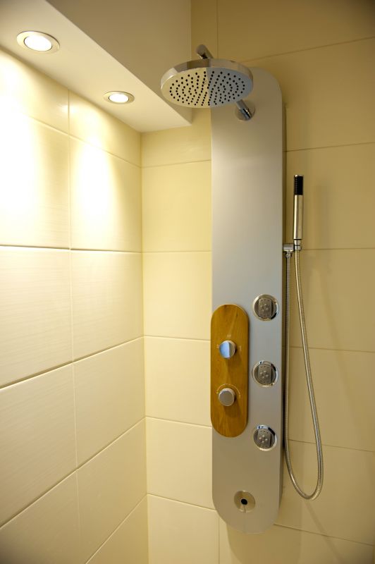 Contemporary Shower with Multi-Function Head
